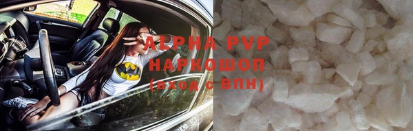 стаф Арсеньев