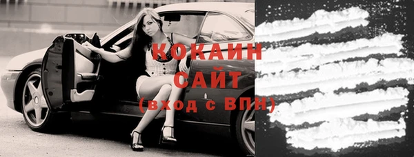 стаф Арсеньев