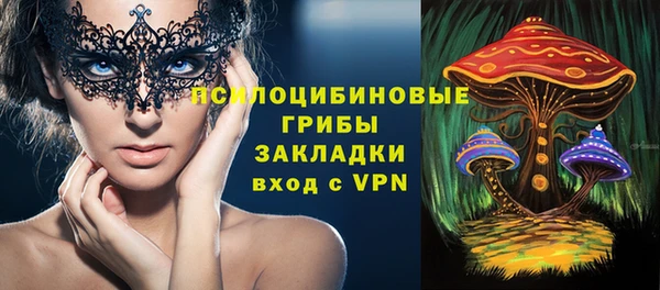 ПСИЛОЦИБИНОВЫЕ ГРИБЫ Армянск