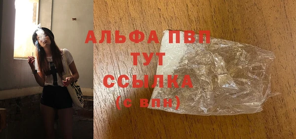 стаф Арсеньев