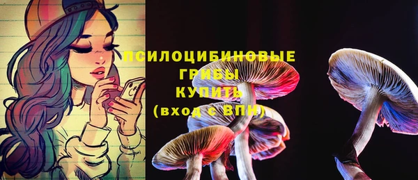 прущие крисы Аркадак