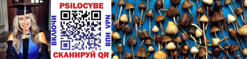 shop телеграм  Устюжна  Псилоцибиновые грибы MAGIC MUSHROOMS 